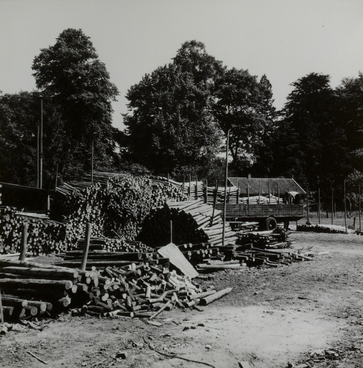 Een houtopslagplaats op de Veluwe met een kar